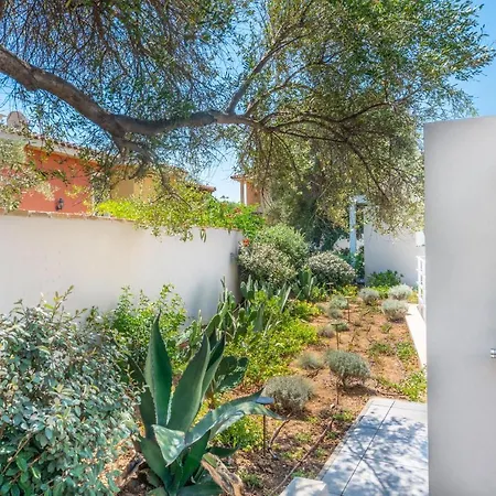 Kosmos - Piscina E Giardino - * Simius