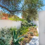 Kosmos - Piscina E Giardino - * Simius